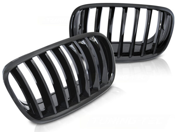 Grill BMW X5 E70 X6 E71 08- Blank Svart